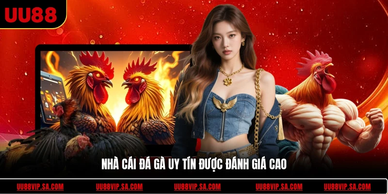 Nhà cái đá gà uy tín được đánh giá cao